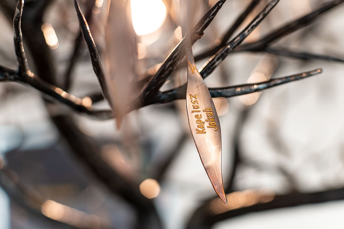 Tato expozice přibližuje osudy zachráněných chlapců a představuje i jejich umělecké, vědecké či literární úspěchy. 