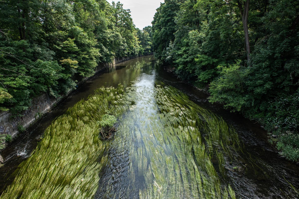 Zákoutí Svratky.