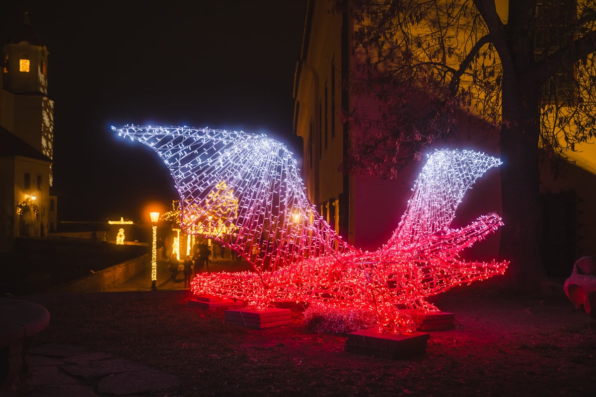 Mezi instalacemi naleznete třeba brněnského draka.