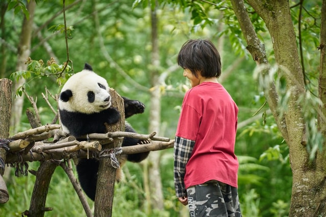 PANDA A JÁ | dobrodružný, Francie, 2025