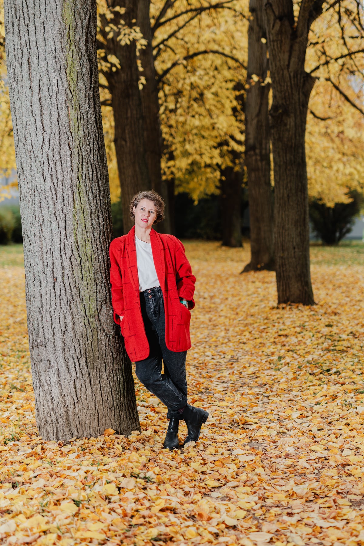 Maloměřická lipová alej