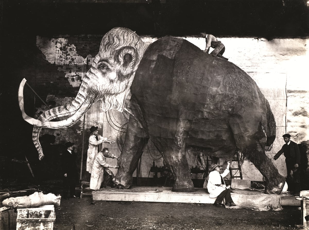 Stavba původního mamuta