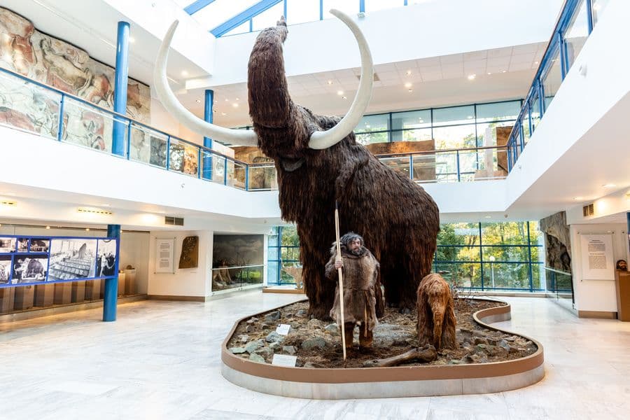 Mamut v Anthroposu dnes