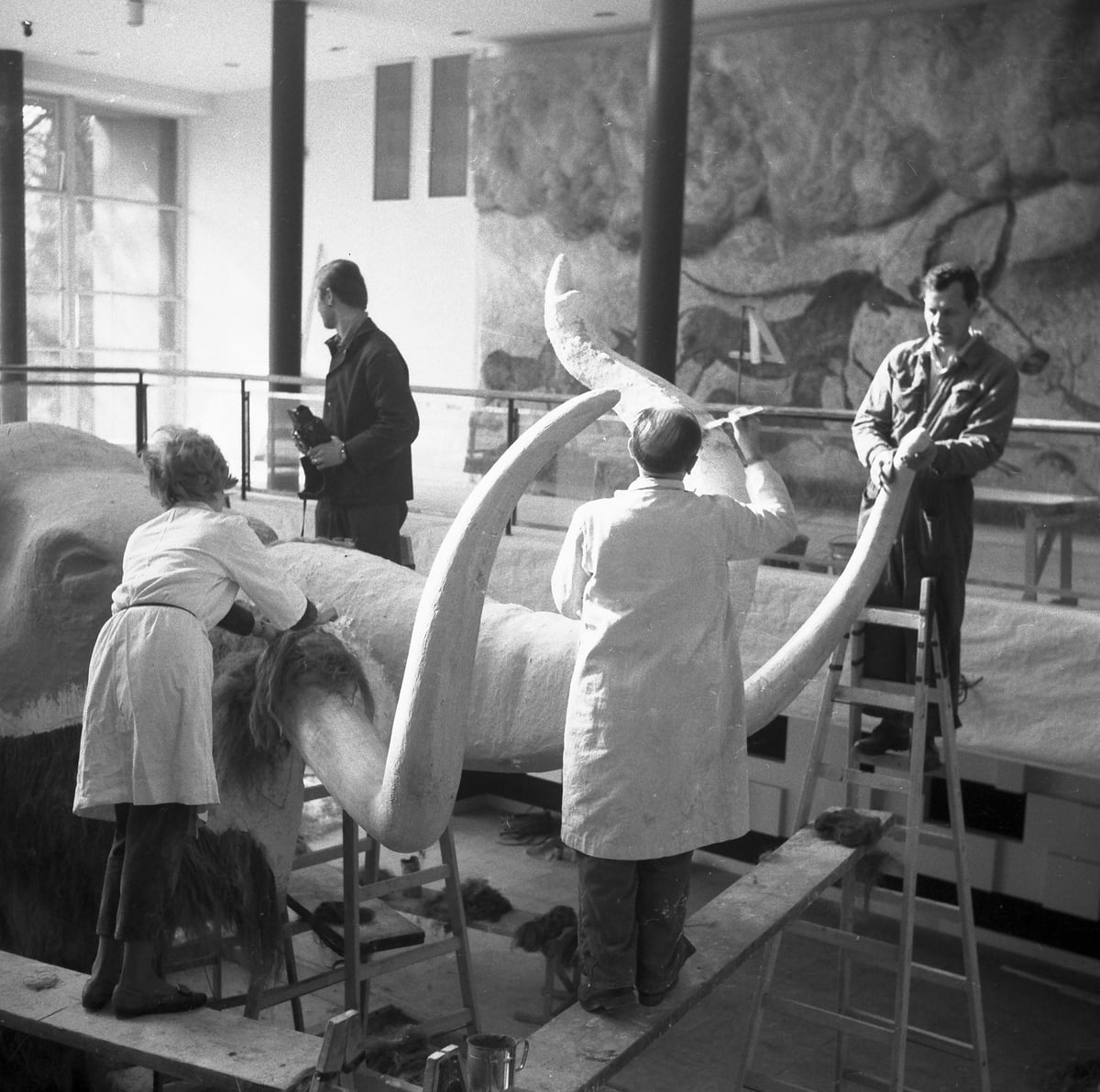 Tvorba nového mamuta v 60. letech