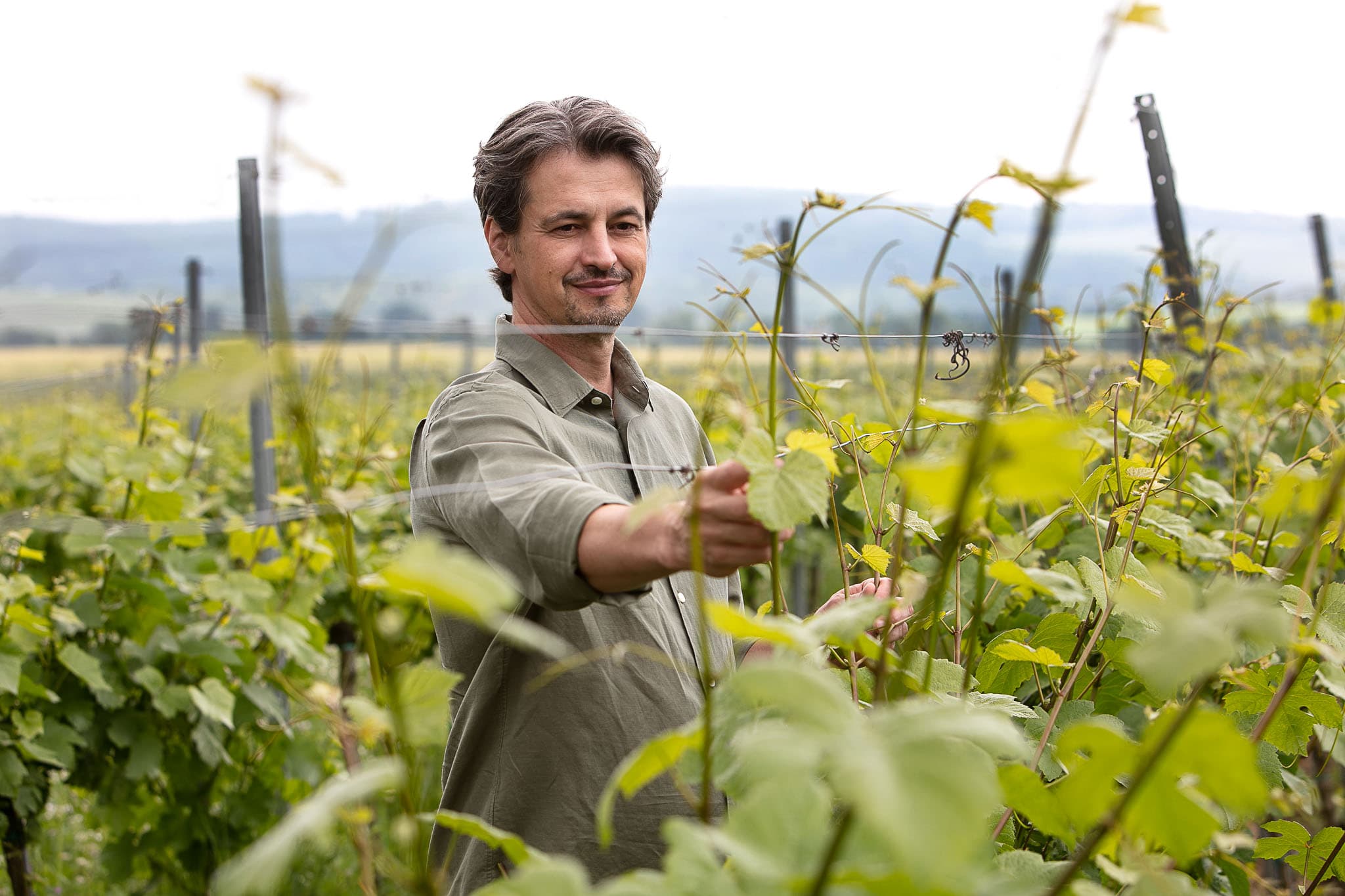 „Ze saka do holínek.“ Petr Fučík o tom, jak vyměnil advokacii za víno a Mikulov